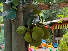 -杨厝六十六农庄农舍(杨厝路店)