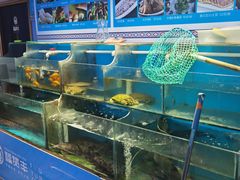水产区-滇小鱼·云南野生菌火锅(上杭路店)