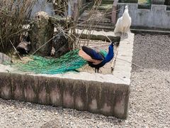 -南京金牛湖风景区