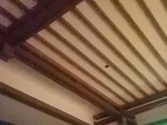 -青水瓦台汤泉(未央店)