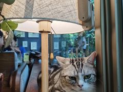 -咖法森林·咖啡  酒吧(天河店)