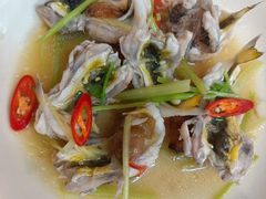 -日日鲜自助餐厅(小公园店)