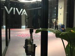 -GYMCARE VIVA(金开店)