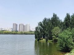 -长白岛森林公园