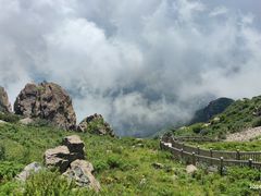 -白草畔自然风景区