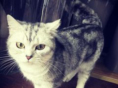 -参差咖啡(水果湖公园店)