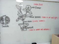 -瑞思少儿中心·少儿英语素养启蒙(回龙观校区)