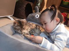 -李小姐の猫咖啡馆(五角场店)