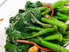 白灼菜心苗-钟菜·粤菜点心·宴请(海上世界·汇港二期店)