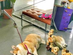 -LaFBagel手作烘焙工作室