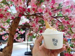 椰子-歎雪糕低糖低脂Gelato冰淇淋