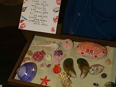 -Ocean's Table 欧舍