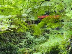-三千院