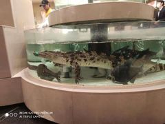 -白金汉爵大酒店(相城店)