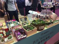 -东浩兰生上海世博展览馆