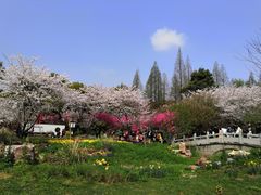 -苏州上方山国家森林公园