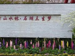 -苏州上方山国家森林公园