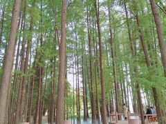 -东湖落雁景区