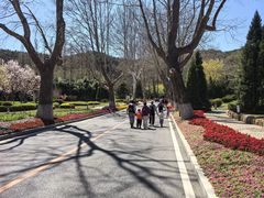 -棒棰岛宾馆景区