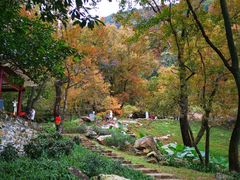 -广州市石门国家森林公园