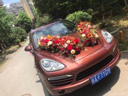 -蚂蚁婚车
