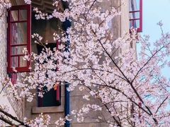 -武汉大学-樱园