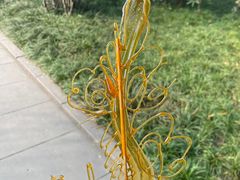 -棠湖公园