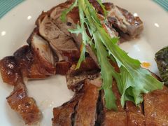 -椿记烧鹅(叠彩店)