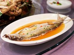 清蒸大白鱼-福禧酒窖·中餐厅 (万柳店)