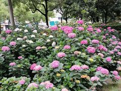 -常州古运河南大街文化旅游区-人民公园