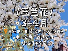 -桃花堤公园