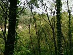 -碓臼峪自然风景区