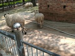 -广东茂名森林公园