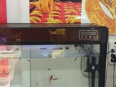 -百金通黄金回收首饰定制维修(珠江路总部)