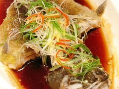 -光头老板·本帮菜