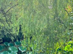 -不觉晓CAMPING(上海迪士尼营地店)