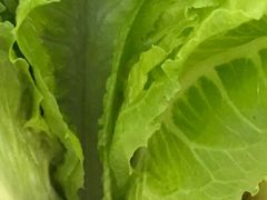 时令蔬菜-天朗时代大酒店-餐厅