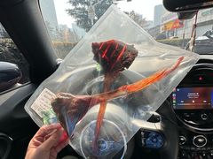 -柚子宠物(伊珊娜调理店)