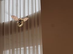 -IL Forno 意坊·意大利餐厅(温州万象城店)