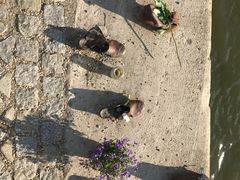 -多瑙河畔鞋履雕塑