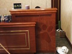 -宠爱国际动物医院· 猫科· 外科·中兽医(长白店)