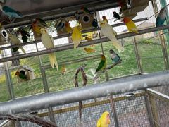 -瑞博尔花园酒店(太周创新产业园店)