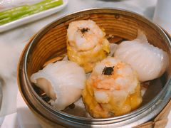 蟹子烧卖-糖朝(尖沙咀店)