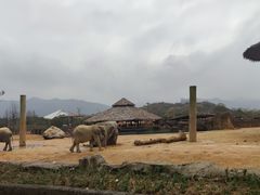 -杭州野生动物世界