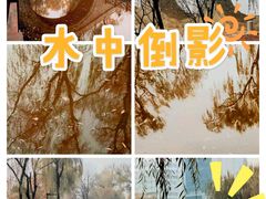 -迎泽公园