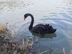 -昆山城市生态森林公园