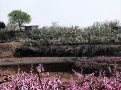 -赞皇棋盘山-停车场