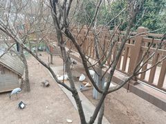 -无锡动物园·太湖欢乐园