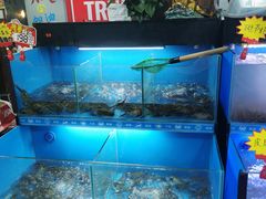 水产区-星记小馆·小蓝龙·老南京砂锅菜(上海路店)
