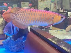 -新辉港式茶餐厅(北栅店)